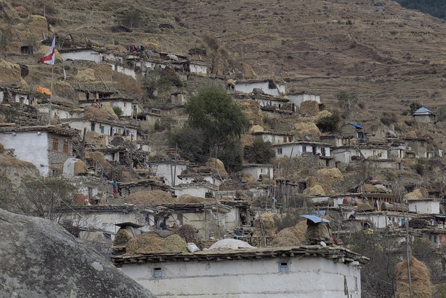 Tavşanlı Belediyesi'nden Yeni Projeler Tavşanlı Belediyesi'nden Yeni Projeler